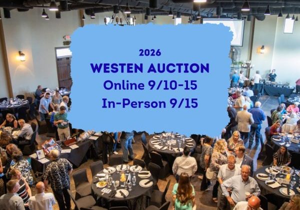 2026AuctionGraphic